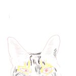 와 내몸 <b>인풋</b> 아웃풋 개지림;;