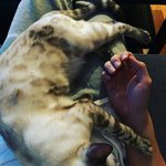 미친 얘들아 미친 지금 별 개잘보여 와;;;;;