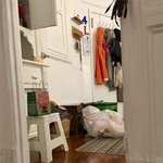 <b>집사</b>도 찾기 힘든 숨은 냥이 찾기