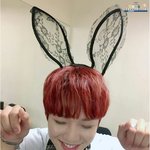 [임영민] 토깽이<b>인척</b> 하는 알파카
