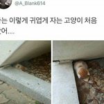 [드루와] <b>gs25</b>에서 알바하거나 해 본 판녀!!!!