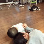 <b>sns</b> 올라온 조정치 정인 아이ㅠㅠㅠㅠㅠ