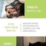 구내염으로 전체<b>발치</b>를 해야하는 지수