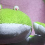 [ㅋㅋㅋㅋㅋ] 밑에 개구리 인형 쓰닌데