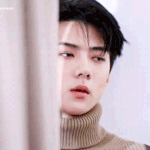 [EXO] 황금허리 처음 가는 애들을 위한 후기 남긴다