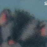[<b>레이</b>] 사담)