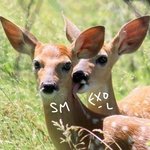 [EXO] 엑소목소리로  <b>asmr</b>듣고싶다