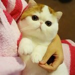 못나니 보고<b>시퍼</b>