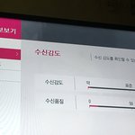 얘더라,, 티비 딜라이브인 판녀 있니??