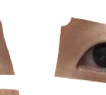 [조언부탁해] 쌍수 <b>추반점</b>