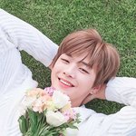 [강다니엘] 타팬인데 강다니엘
