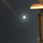 야 너네 엄마가 화류계고 아빠가 <b>사채</b>업자면 어떨거같냐