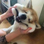 [댓글부탁해] <b>인생</b> 영화랑 <b>드라마</b> 공유하자