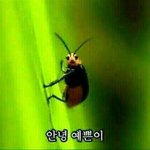 시험도 끝나고 해서 <b>자습</b>시간이 많은데