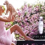 향덕의 향수기록