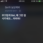 <b>시리</b>한테 드립쳐 보라고 하면ㅋㅋㅋㅋㅋㅋㅋ