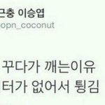 네판에서 모았던 짤 1000장 <b>가량</b> 다푼다