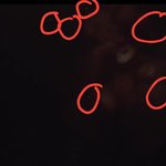 [EXO] 야 나 약간 소름인거 알아낸듯