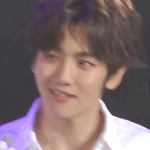 [EXO] 야 난 덕질 너네때문에 함
