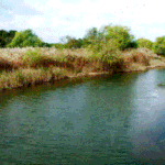 우리나라 드라마 <b>연출</b> 수준