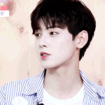 <b>아이</b><b>브로우</b> 추반좀