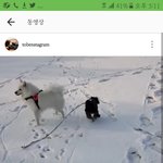 [EXO] 토벤스타<b>그램</b>