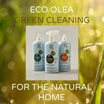 <b>천연</b> 세제 추천해요