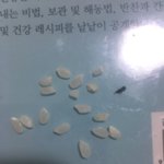 [개깊은빡침] 초록마을 우리아이<b>입안</b>애 쌀벌레......