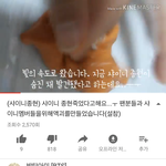 유튜브 액괴충들은 어떻게 좀 조질수없냐?