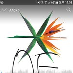 [EXO] 팬들도 가수도 안타깝다 걍 맘이 너무 아퍼