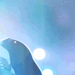 EXO'rDIUM in <b>Japan</b> LIVE DVD&amp;Blu-ray...