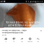 이 초딩새끼 미친거 아니냐