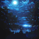 [드루와] 샤이니 <b>남팬</b>이 직접 작성한 글