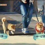 [댓글부탁해] 팬덤때문에덕질힘든적있냐