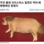 [드루와] 나랑 <b>더러움</b>배틀 할사람