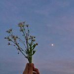 [댓글부탁해] 내 친구가 <b>종현</b>