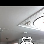 <b>뚱</b>년데 옷 추천 좀 ㅠ