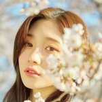 [댓글부탁해] <b>심리학</b>과갈려면 공부 잘해야되겠지?