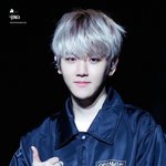 [백현] 림들하 그거 아세요? 백현이...