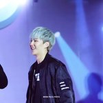 [세븐틴] 멤버별로 레전드 직캠 뭐라고 생각해?