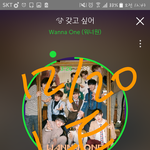 [강다니엘] 녤이도 다녀왔나봐