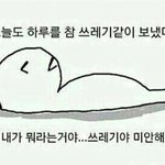 [10대의성] 나지금<b>탐폰</b>넣고있는데