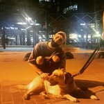[댓글부탁해] 벌써 보고싶다