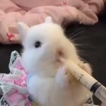 [댓글부탁해] 고딩들 들어와<b>주</b><b>셈</b>ㅠㅠㅠㅠㅠ