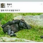[ㅋㅋㅋㅋㅋ] ㄹㅇ이거 웃음<b>지뢰</b> ㅋㅋㅋㅌㅋㅋㅋㅋㅋ