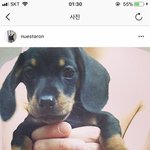 [뉴이스트] 강쥐랑 아론이