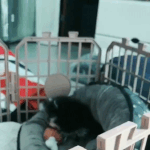 [방탄소년단] 어제나 이틀전에 <b>N</b>터나 팬톡 상태 어땠어?