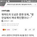 고인 <b>조롱</b>하는 ㅇㅁㄷ