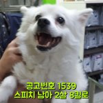 제발 외면하지 말아주세요