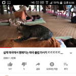 [드루와] <b>태국</b>불법마사지소름끼침;